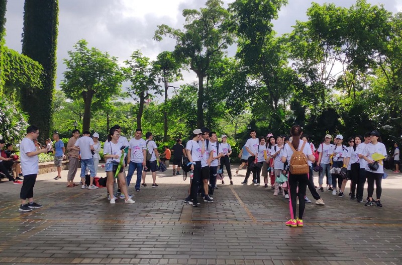 攜手并進(jìn)·沖刺2019|云里物里營銷中心登山拓展活動圓滿結(jié)束!