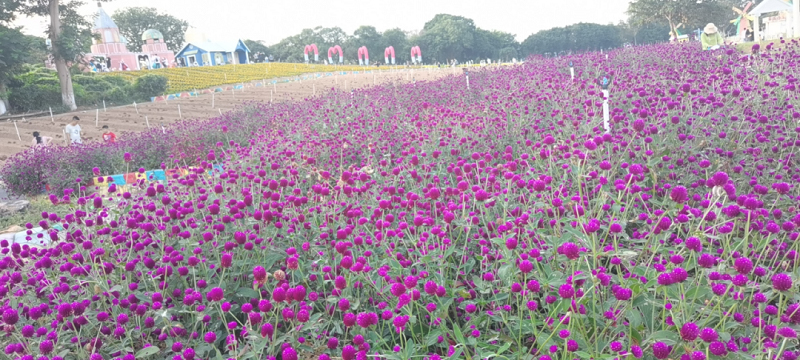 2020年云里物里制造中心團(tuán)建活動圓滿結(jié)束